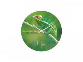 Часы настенные Nicole Time NT503 в Серебряном Бору - serebryanyj-bor.mebel-nsk.ru | фото